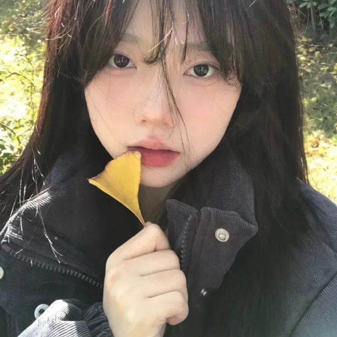 地心引力