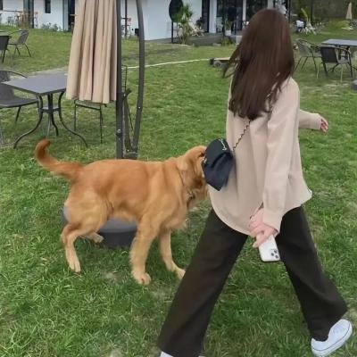 女子特警队